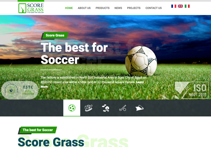 SCORE GRASS